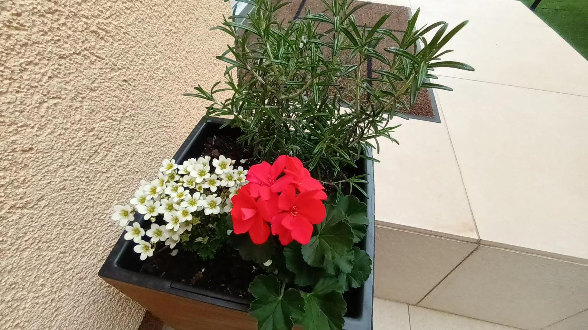 Apartman Sandra -Private Parking And Garden Zadar Exterior photo